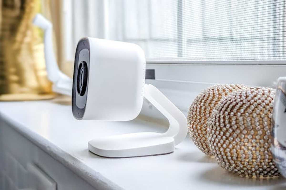 Câmeras de segurança para monitorar o pet: tranquilidade para quem ama animais